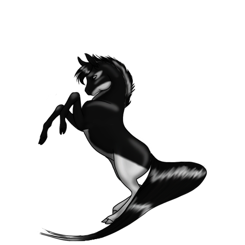 Orca